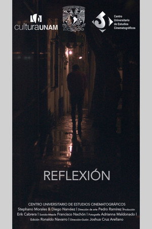 Reflection 2