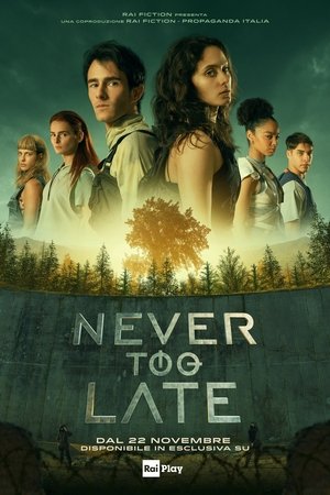 Image Never Too Late