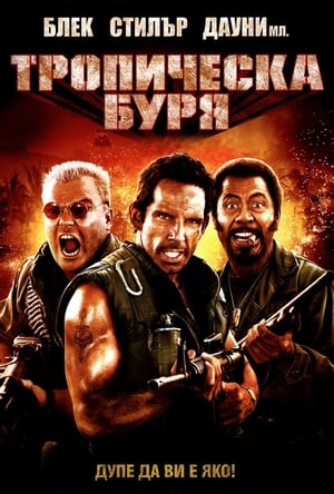 Poster Тропическа буря 2008