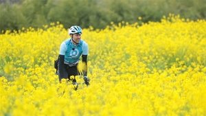 Spring - A Journey through Boso Peninsula
