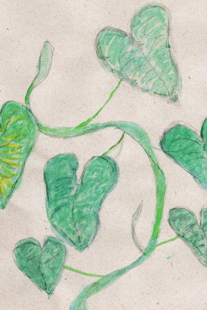 poster_E as minhas plantas?