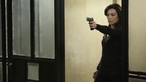 Agents of SHIELD 2X15