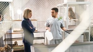 For The People: 1 Staffel 8 Folge