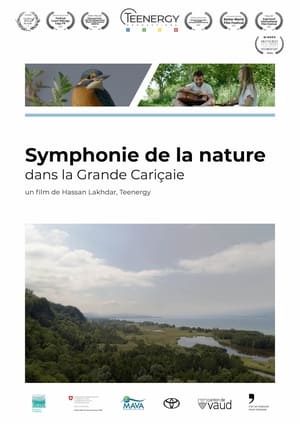 Image Symphonie de la nature dans la Grande Cariçaie