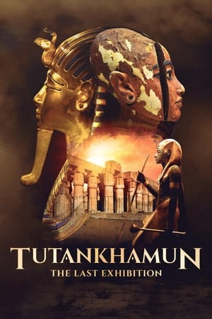 Image Tutankhamun: The Last Exhibition