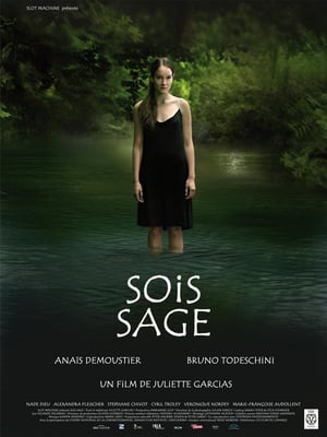 Poster Sois sage 2009
