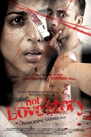 Poster Not a Love Story (2011)