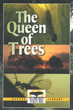The Queen of Trees 4