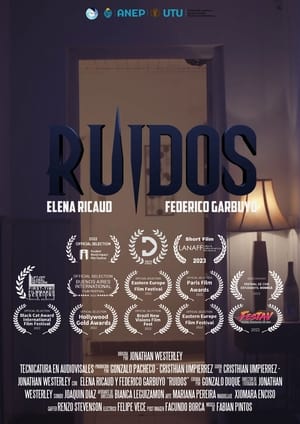 Image Ruidos