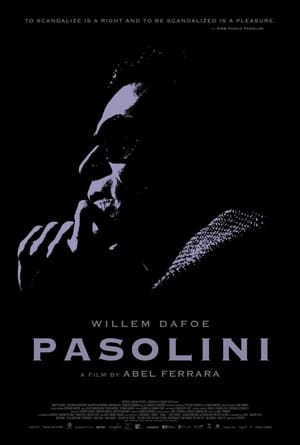 Poster Pasolini 2014