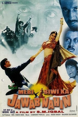 Poster मेरी बीवी का जवाब नहीं 2004