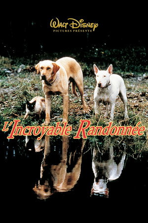L'incroyable randonnée