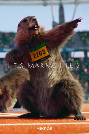 Poster Les Marmottes 2015