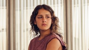 La acción colectiva