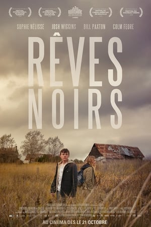 Poster Rêves noirs 2016