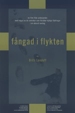 Fångad i flykten