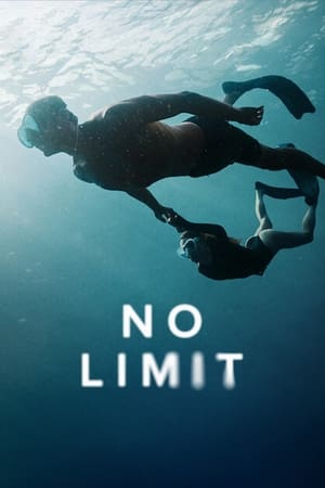 Poster No Limit 2022