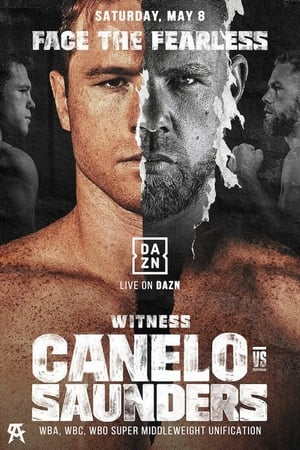 Image Canelo Alvarez vs. Billy Joe Saunders