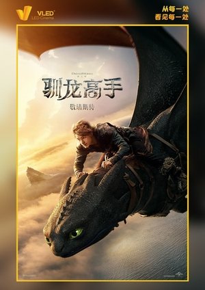 poster How to Train Your Dragon