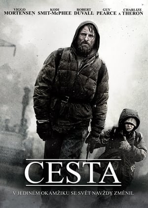 Cesta 2009