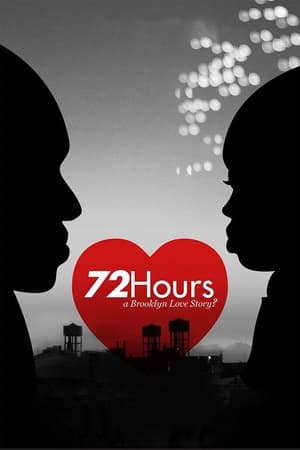 Poster 72 Hours: A Brooklyn Love Story? (2016)