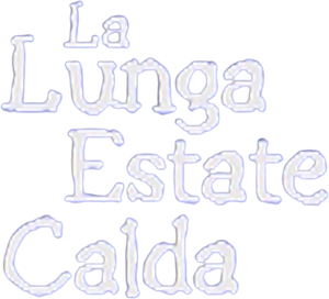 La lunga estate calda