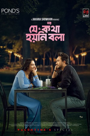 Je Kotha Hoyni Bola 16