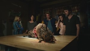 Zombeavers (Castores zombies)