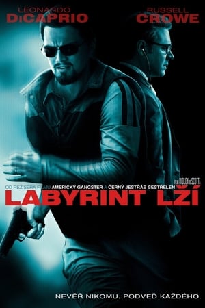 Poster Labyrint lží 2008