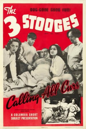 Poster Calling All Curs (1939)