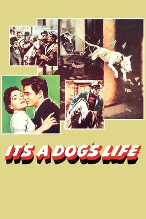 Poster It's a Dog's Life 1955