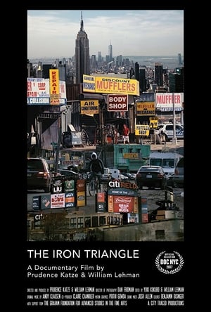 The Iron Triangle: Willets Point and the Remaking of New York film complet