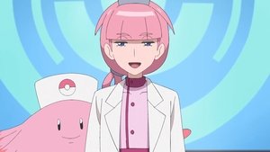 The Pokémon Center Lady