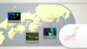 Journeys in Japan: 12×11