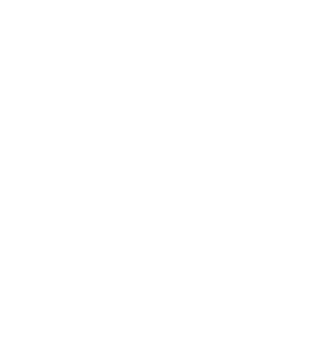 The Cat