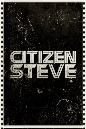 Citizen Steve (1987) | Team Personality Map