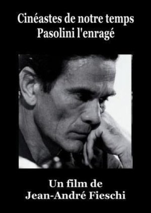 Pasolini l'Enragé