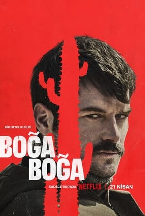 Image Boğa Boğa