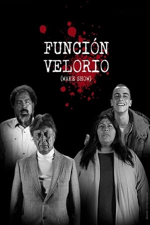 Poster Función Velorio 2020