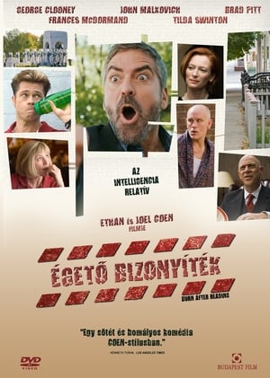 Poster Égető bizonyíték 2008