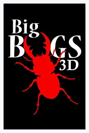 Big Bugs