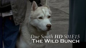 Due South The Wild Bunch