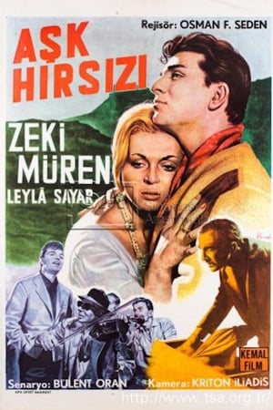 Aşk Hırsızı poster