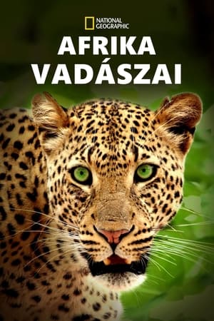 Image Afrika vadászai