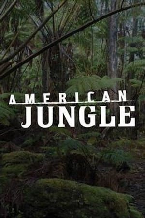 Image American Jungle