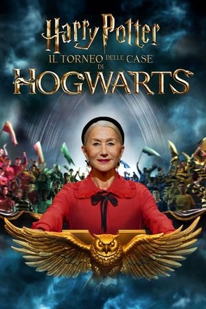 Image Harry Potter - Il torneo delle case di Hogwarts
