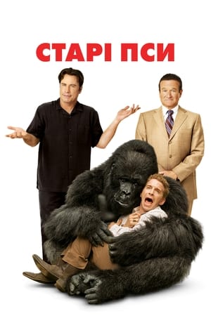 Poster Старі пси 2009