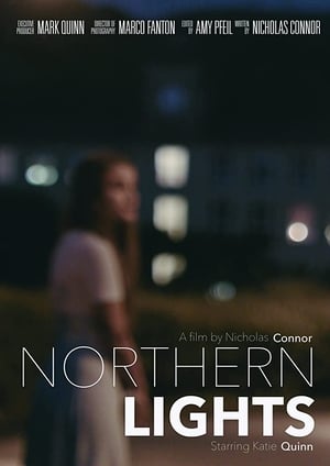 Poster Northern Lights (2016)