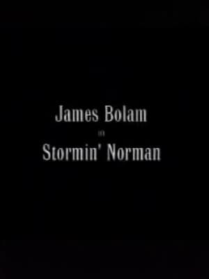 Poster Stormin' Norman (2000)