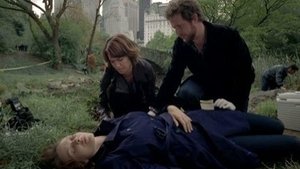 CSI: NY: Stagione 8 x Episodio 9